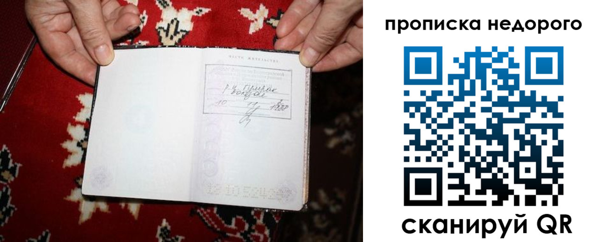 прописка гарантия в Зернограде